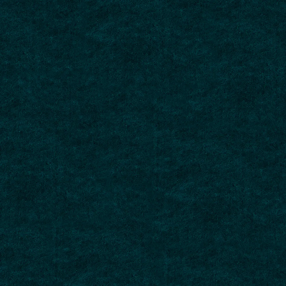 PET finish - Nocturn