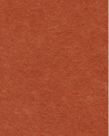 PET finish - Burnt Orange